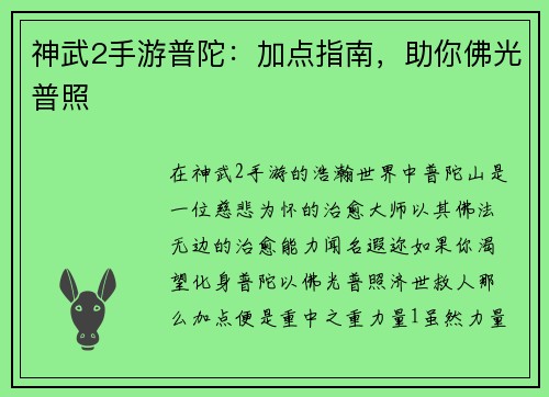 神武2手游普陀：加点指南，助你佛光普照
